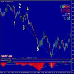 Giant wave forex