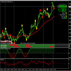 Bb trigger binary options trading high low