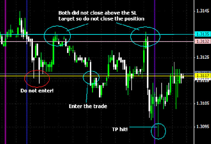 best forex strategy for daily chart for preschool